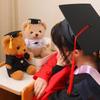 With Doctorial Hat Bachelor Bear Plush Toy Stuffed Toy Sitting Bear Plush Toys  Graduation Season