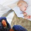 Bird Kiss Rainbow Lorikeets Throw Blanket Blankets For Bed Thermals For Travel Furrys blankets ands Blankets