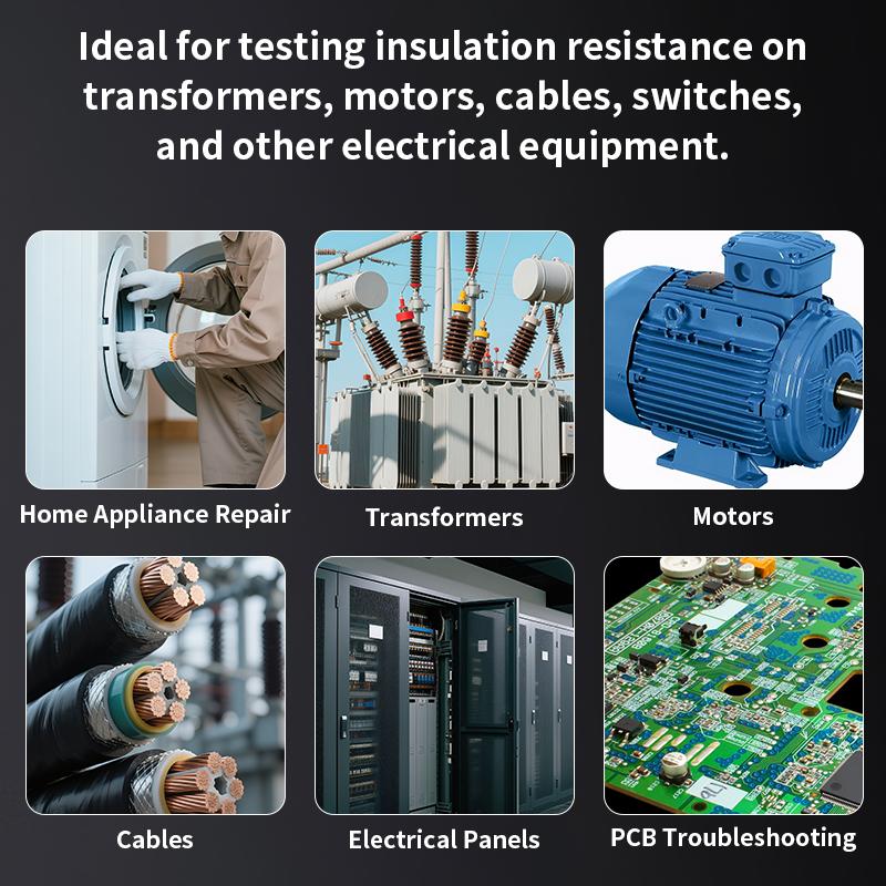 ZOYI High Precision Megohmmeter Multimeter 2-in-1 1000R Insulation Tester Electrician 1000V for New Energy Electrical
