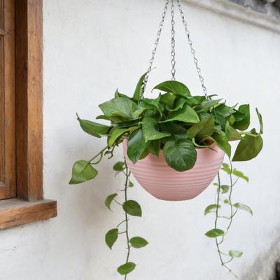7Pcs Hanging Planters Flower Pots with Drainage Holes And Metal Chains Plastic Hanging Flowerpots for Indoor Outdoor Use