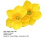 Women Hair Clips Large Dual Flower Decor Side Hair Pins No Hair Damage Hairpins Plastic Hair Accessory