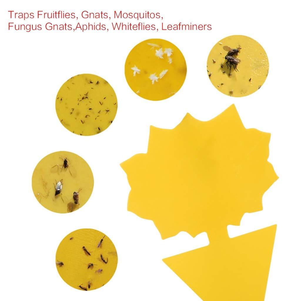 52 Pack Sticky Traps, Fungus Gnat  for Catcher Indoor/outdoor, Insect Catcher