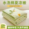 Yongyou Wan Nano Printing Ultrasonic Summer Quilt