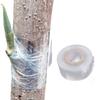 Dehnbares Gartenpfropfband 3CMx120M Pflanzenreparatur Okulationsband Klar Floristikfolie für Obst Blumenbaum und Pflanzen