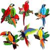 KatchOn, Large Tropical Birds Honeycomb Cutouts - 9x7.7 Inch | Paper Bird Decorations, Luau Party Decorations, Hawaiian Party Decorations, Rainforest