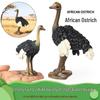 Animal Models: Ostrich, Eagle, Woodpecker, Owl - Cognitive Toys for Kids