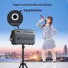 SANSUI Portable Karaoke KTV Speaker System