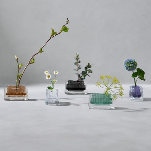 Ash Concept (h concept) +d MICHI-KUSA Oval Crystal D-372-CL Flower Vase, Compact, for Fresh Flowers, Kenzan (flower frog)