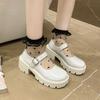 Mary Jane Women's Shoes 2025 New Fashion Versatile with Skirt Small Leather Shoes Women's French One-word Buckle Belt Thick Heel Single Shoes