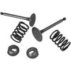 Cancanle Intake Inlet Exhaust Valve Spring Retainer Set for Honda GX340 GX390 11HP 13HP Gas Engine Motor Generator