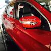 Car Rear View Side Mirror Stick Trim Frame Lamp Molding Eyebrow For Nissan X-Trail T32/Rogue 2014 2015 2016 2017 2018