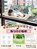 Cat Window Hammock with Strong Suction Large Easy To Cat Window Cat 25kg Weight Breathable Suitable for Both Summer and Stress Window Window Viewing