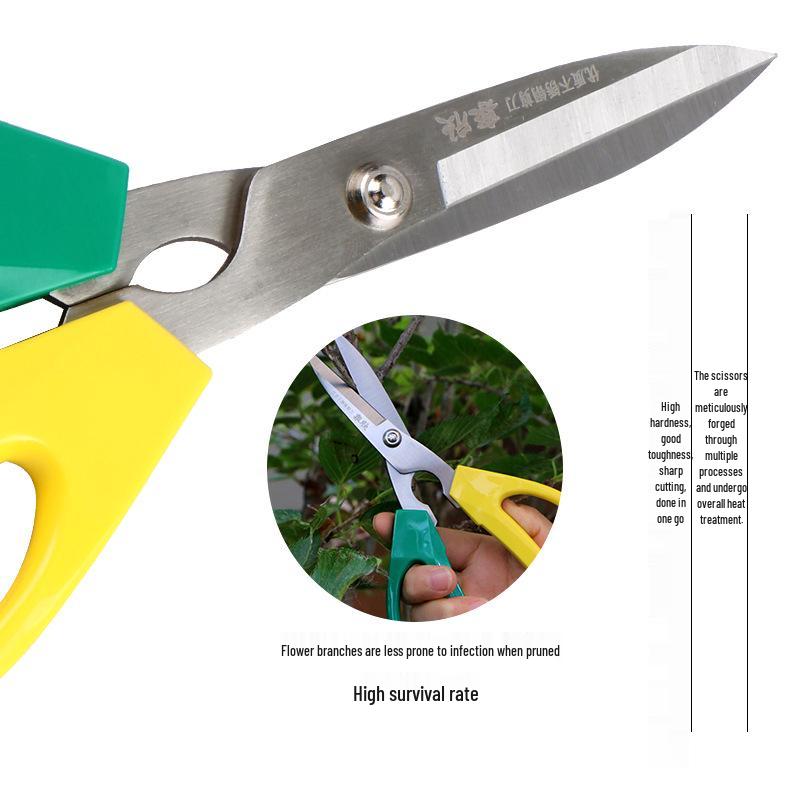Quanxin Durable Stainless Steel Scissors for Floristry and Gardening - Large & Small Sizes Available