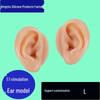 Silikon-Ohrmodell für die Piercing-Übung