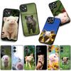 Anime Cute Pig Funny Phone Case for Samsung Galaxy A25 A37 A57 A12 A14 A31 A41 A50 A51 A70 A71 A72 A21S A04 M15 Note 20 9 8 10