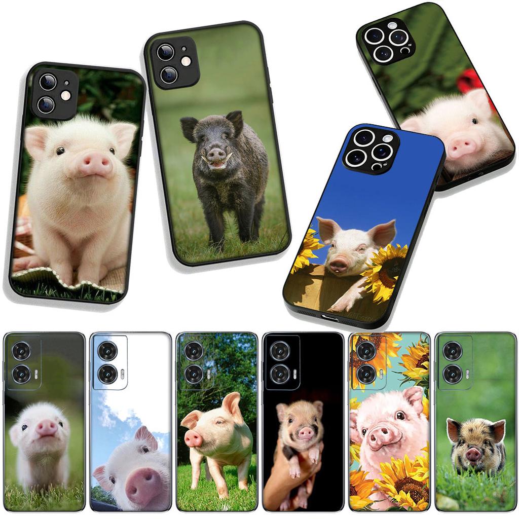 Anime Cute Pig Funny Phone Case for Samsung Galaxy A25 A37 A57 A12 A14 A31 A41 A50 A51 A70 A71 A72 A21S A04 M15 Note 20 9 8 10