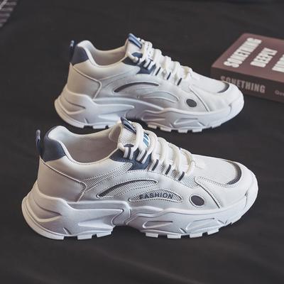 Men's Shoes New Summer Breathable Mesh Casual Sports Mesh Shoes Men's Running Height-enhancing Little White Dad's Trendy Shoes
