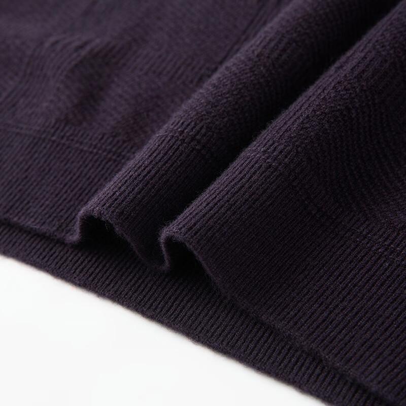 Pierre Cardin Men's Antibacterial Washable Wool-Blend Crewneck Sweater
