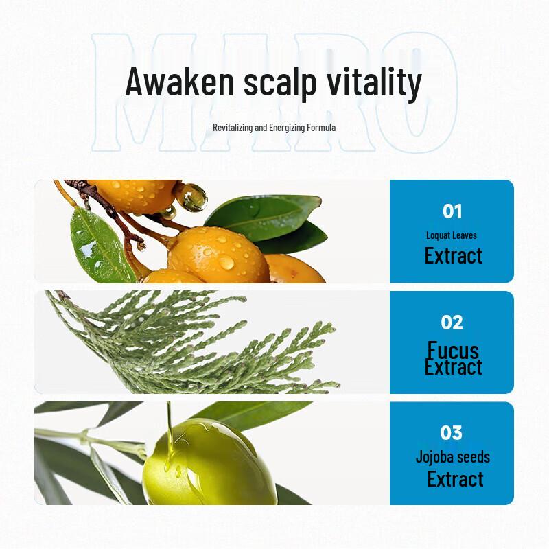 MARO Men's Anti-Dandruff Shampoo, Refreshing Lime