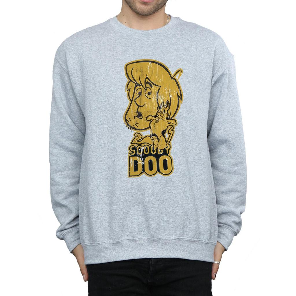 Scooby Doo Mens And Shaggy Sweatshirt