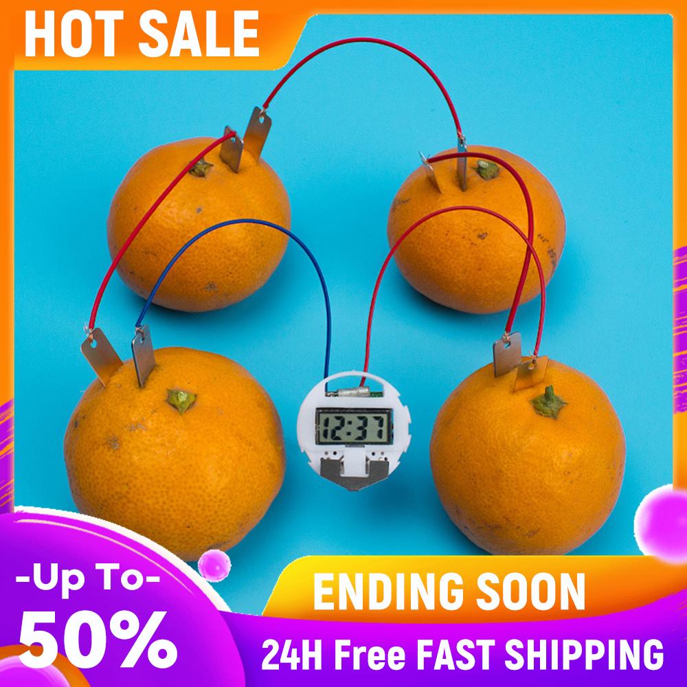 

DIY Vegetable Fruit Generator Kits Physics Power Generation Experimental Toy China Mainland