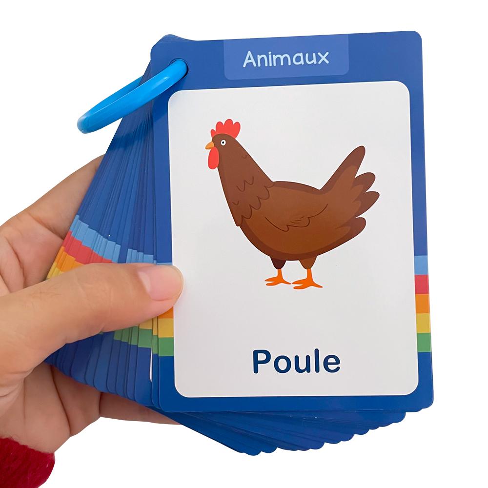 Food / Animals / Fruits / Body Parts French Words Learning Cards for Kids Early Language Skill Classroom Activities Memory Games