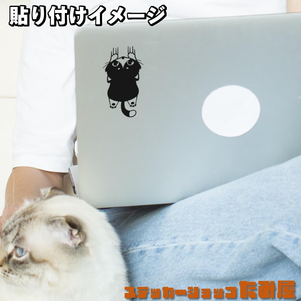 Slipping Cat Cutting Sticker Choose Your Color and Size Weatherproof and Waterproof Made In Japan ZUOCat [Tamiya] - - - - (Black, S, Calico)