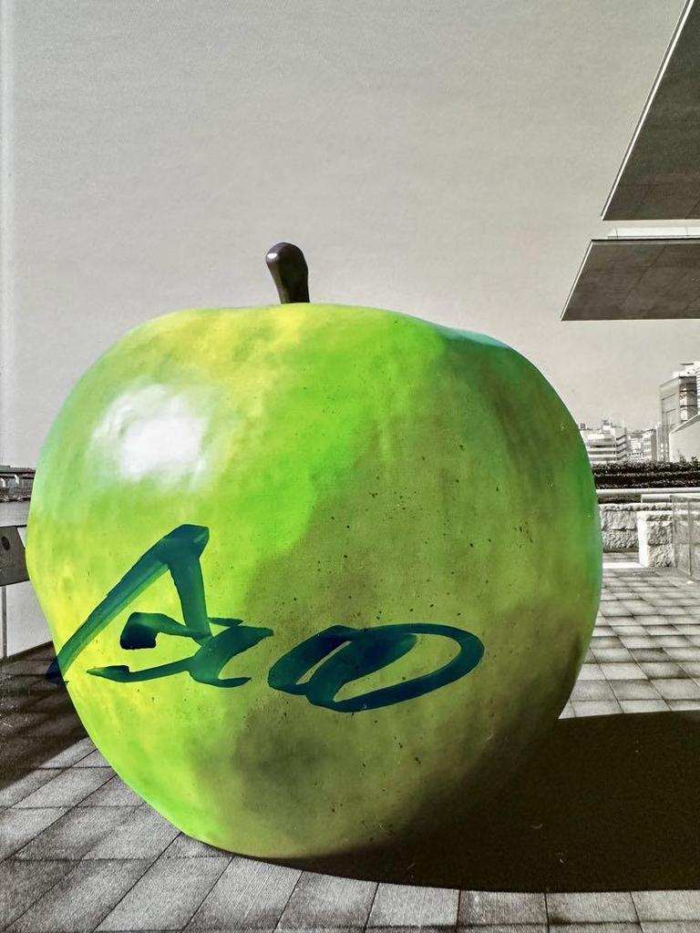 [USED] Tadao Ando Signed Art Book YOUTH