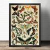 Vintage-Leinwandgemälde mit Gemüse, Früchten, Pilzen, antike Wandkunst, botanische Bilder, wissenschaftliche Poster und Drucke, Heimdekoration