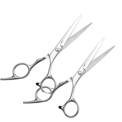 Forbici professionali per tagliare i capelli Cesoie da parrucchiere con bordo in acciaio inossidabile per un taglio di capelli alla moda