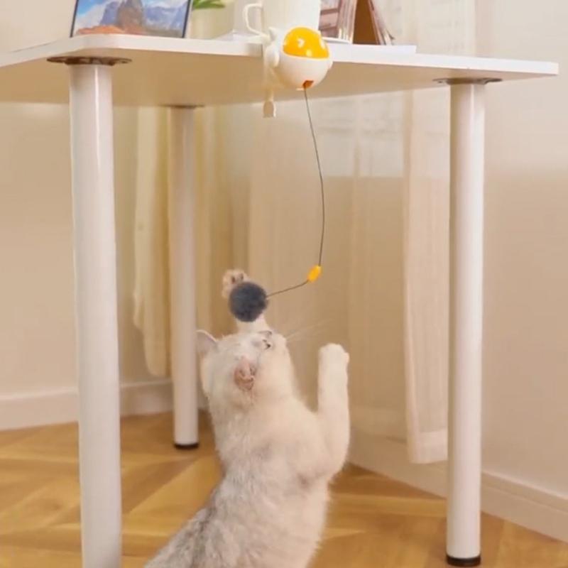 Bouncing Toy Cats and Felines Fun Exercise and Entertainment Cats Toy