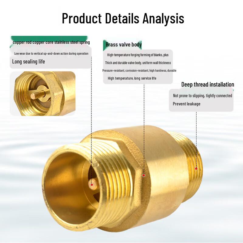 Xingqishi Brass Vertical Spring Check Valve