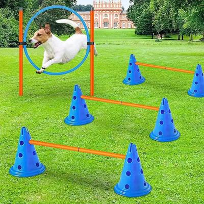 New Top-quality, Essential, and Durable High-performance Dog Obstacle Training Set To Enhance Your Pet's Agility. The Ultimate E