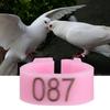 100 Stück Clip-On Design nummerierte Beinbänder 001-100 Nummerierte Vogelbeinringe Haustiervögel