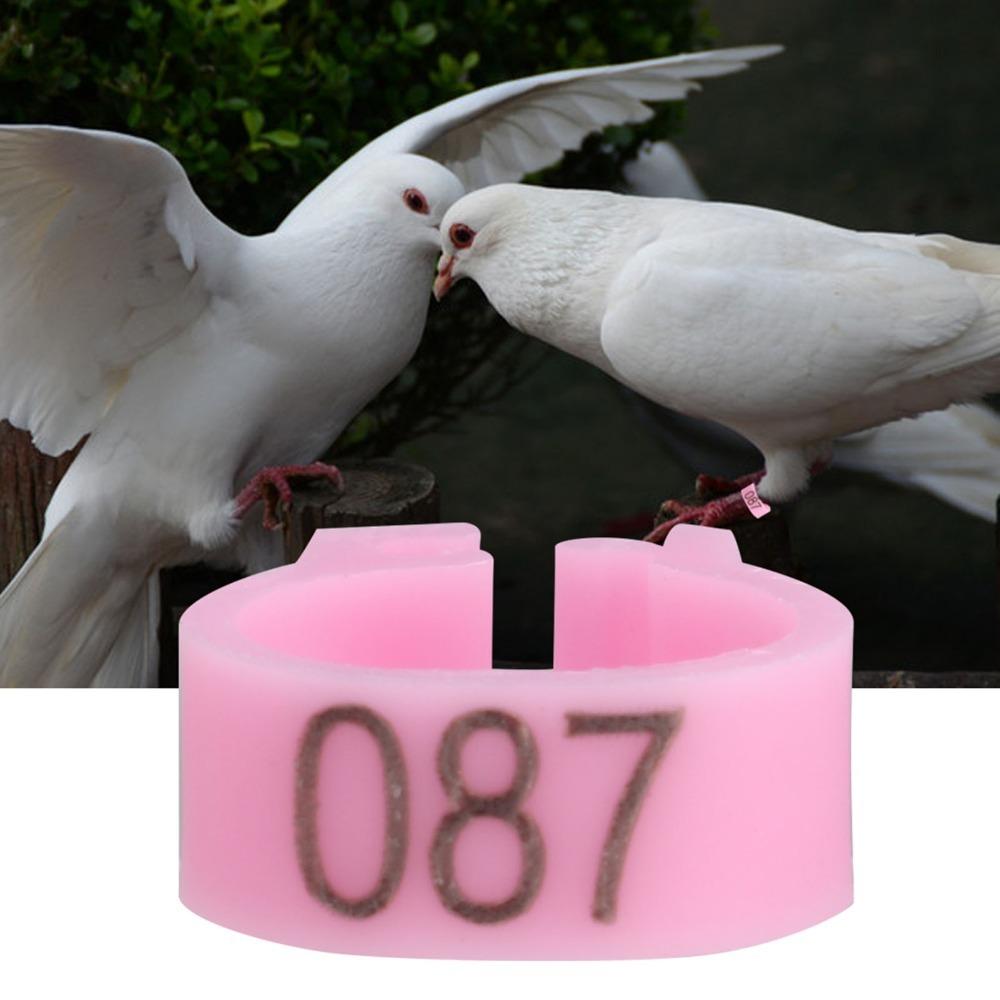 100 Stück Clip-On Design nummerierte Beinbänder 001-100 Nummerierte Vogelbeinringe Haustiervögel
