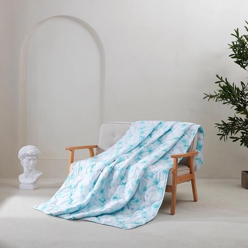 Mendale Soft Flannel Blanket