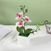 Three Piece Artificial Phalaenopsis Potted Flower Arrangement for Office