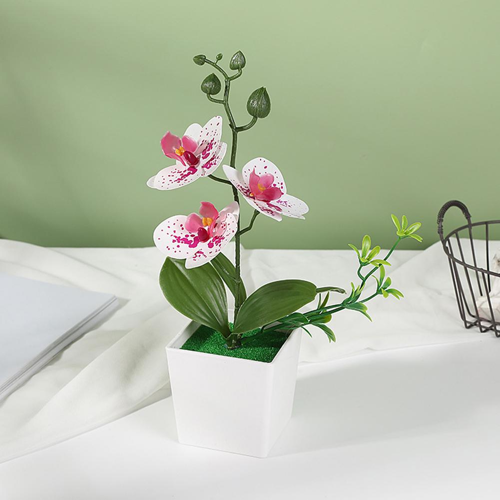 Three Piece Artificial Phalaenopsis Potted Flower Arrangement for Office