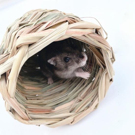 Hamsternest, Kauspielzeug, Naturgras, handgewebtes Strohnest, kleines Haustier-Versteck, Tunnel