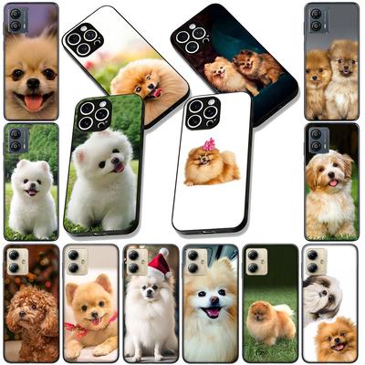 Soft Cover for Samsung Galaxy Note 20 9 8 S8 S10 S9 Plus A54 A33 A21S A31 M21 S10E A17 Coque Phone Case Pomeranian Poodle Dog
