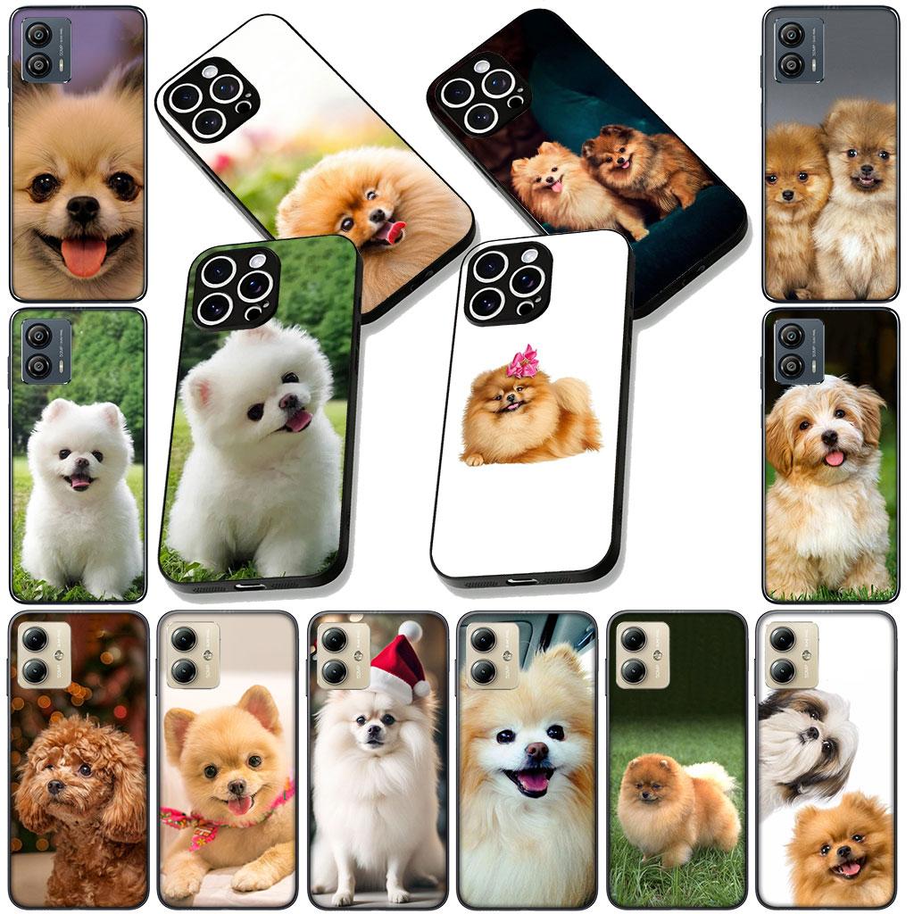 Soft Cover for Apple iPhone 13 12 Mini XS 11 Pro Max 7 8 Plus + XR SE 2022 2020 SE3 Coque Phone Case Pomeranian Poodle Dog
