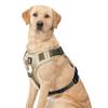 Dog Adjustable Dog Harness Set with Back Attachable Name for and Extra Large Includes Walking Night Adjustable Oxford Fabric Outdoor Dog