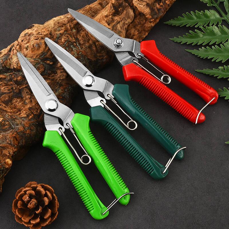 Garden Pruning Shears: Stainless Steel Fruit, Flower, Bonsai, and Branch Thinning Tool.