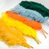 10Pcs Big Ostrich Feathers 15-60Cm For Diy Craft Wedding Table Center Decor Ostrich Plumas Carnival Party Stage Accessories Bulk