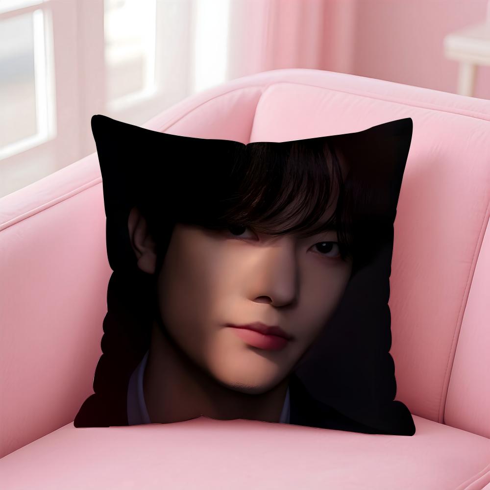 Classic Dramatic Korean TV BBitch X Rich Cushion Cover Pillow Case Soft Skin Friendly Fabric Concealed Zipper