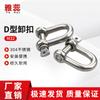 Yarui 304 Stainless Steel D-Shackle