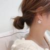 Temperament Five-Petaled Flower Earrings Zircon Flower Diamond-Set Front And Rear Wear Dual-Purpose Zircon Removable Stud Earrings