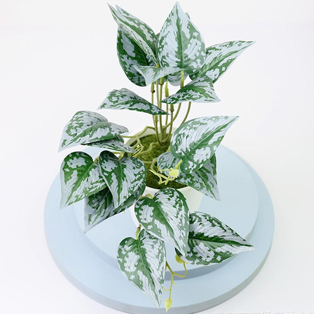 

Для магазинов Бонсай Для свадеб Для вечеринок Пластик Красивый H