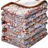 All-Season Coral Fleece Pet Blankets for Dogs & Cats, Paw Print Design, Available Now