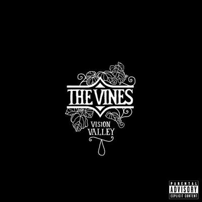 CD VINES - Vision Valley CDP094633181724 Capitol Records 2006 ABD Rock Kullanılmış